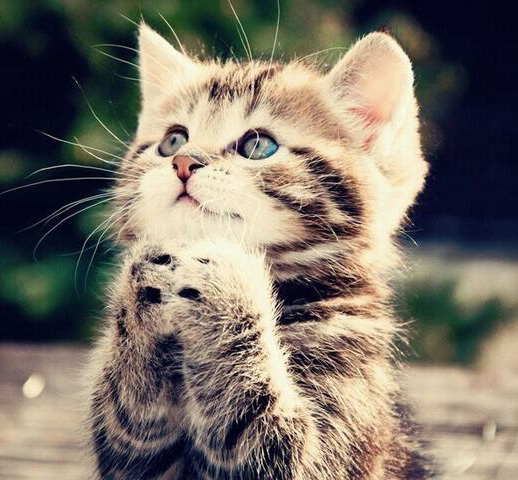 顏穎的個人主頁（背景預覽） - 主頁背景設置 - 站酷設計師顏穎原創(chuàng)素材 - 站酷ZCOOL