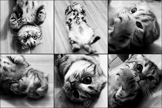 271137243的個(gè)人主頁（背景預(yù)覽） - 主頁背景設(shè)置 - 站酷設(shè)計(jì)師271137243原創(chuàng)素材 - 站酷ZCOOL