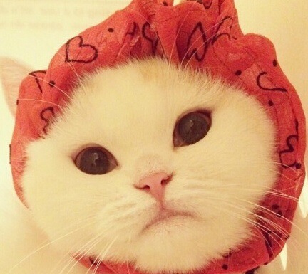 第lucky的個人主頁（背景預覽） - 主頁背景設置 - 站酷設計師第lucky原創(chuàng)素材 - 站酷ZCOOL