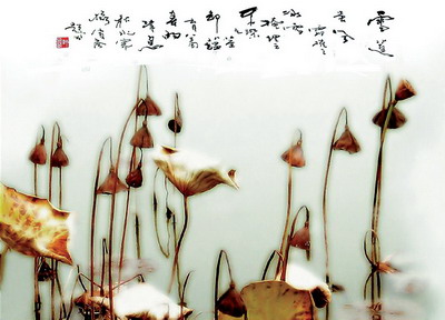 花生小七的个人主页（背景预览） - 主页背景设置 - 站酷设计师花生小七原创素材 - 站酷ZCOOL