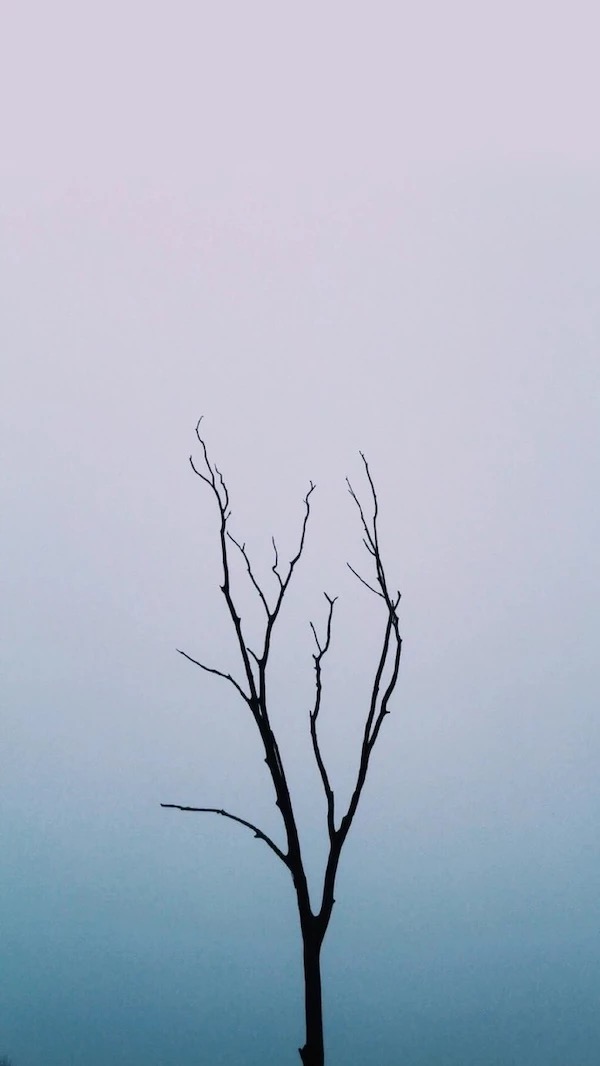 小赪Cc的個人主頁（背景預覽） - 主頁背景設置 - 站酷設計師小赪Cc原創(chuàng)素材 - 站酷ZCOOL