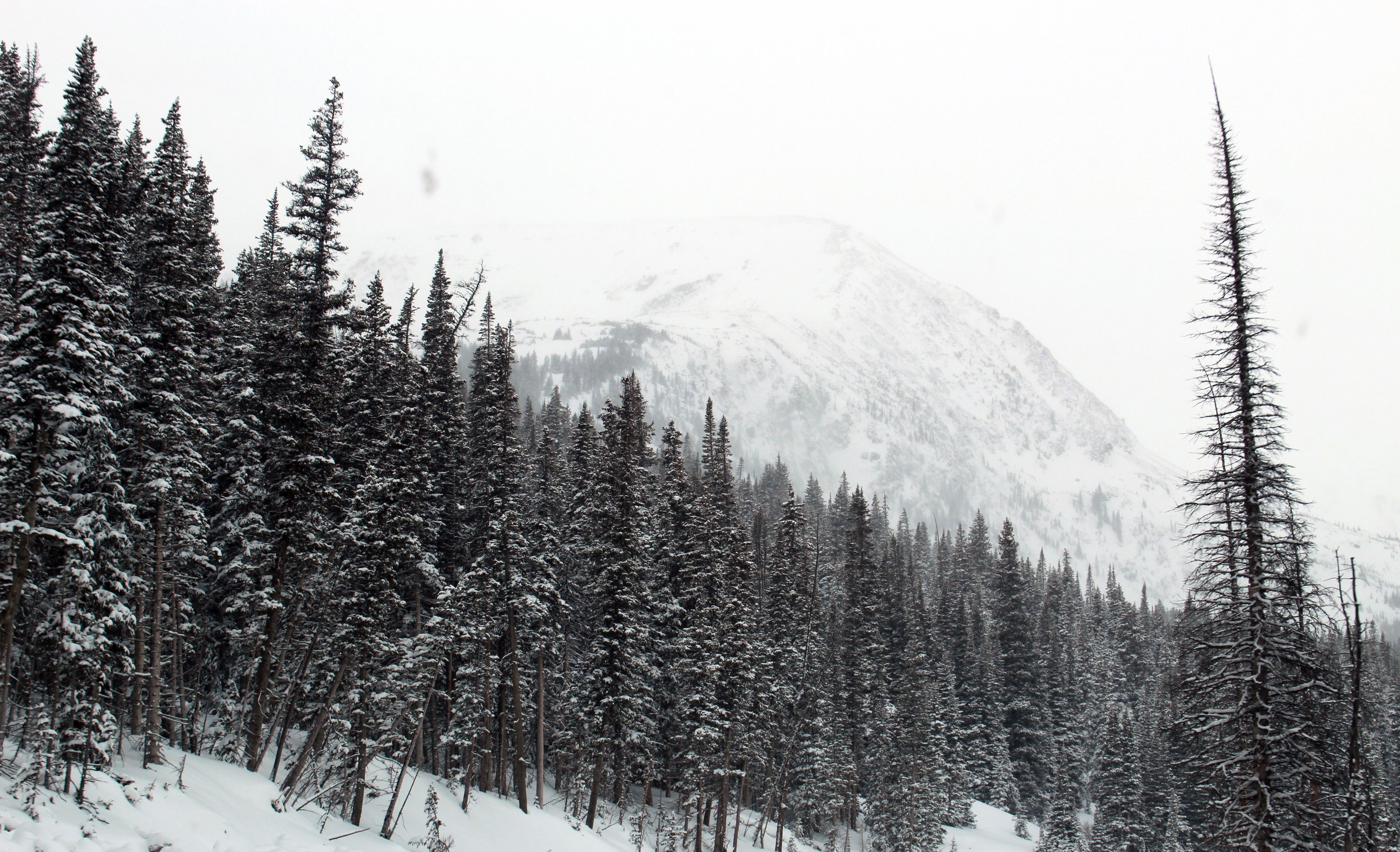 CIA丨菜菜的个人主页（背景预览） - 主页背景设置 - 站酷设计师CIA丨菜菜原创素材 - 站酷ZCOOL