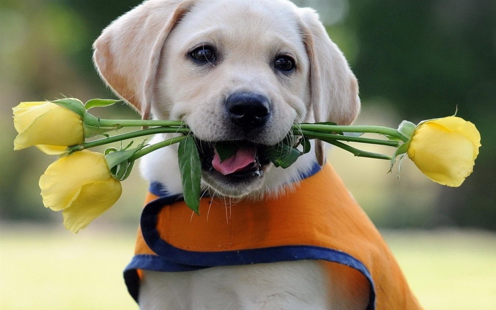胡尔摩斯huer的个人主页（背景预览） - 主页背景设置 - 站酷设计师胡尔摩斯huer原创素材 - 站酷ZCOOL