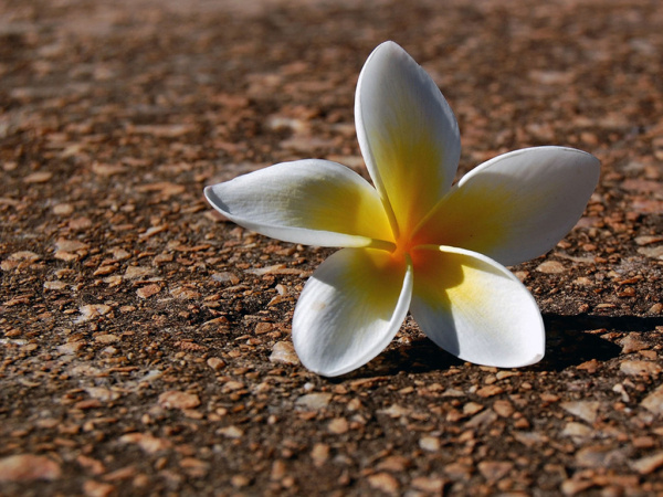 妙妙2016的个人主页（背景预览） - 主页背景设置 - 站酷设计师妙妙2016原创素材 - 站酷ZCOOL