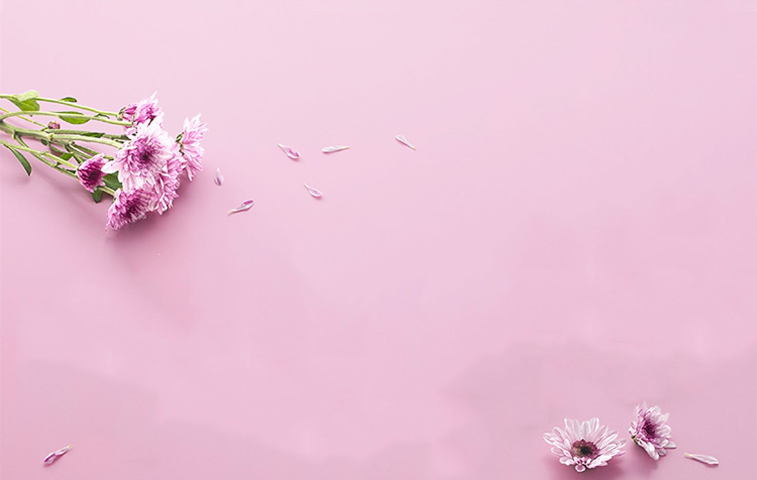 梦里花开Z的个人主页（背景预览） - 主页背景设置 - 站酷设计师梦里花开Z原创素材 - 站酷ZCOOL