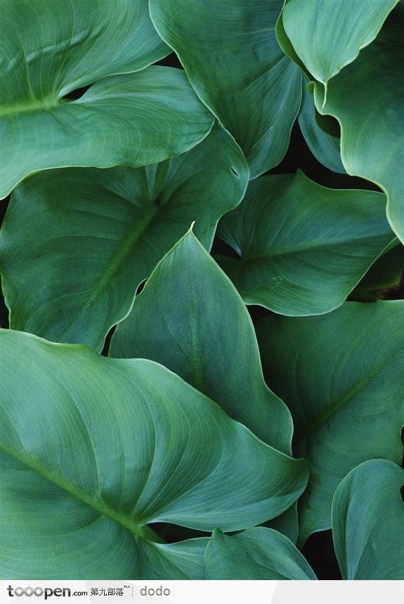 Danyow的個人主頁（背景預覽） - 主頁背景設置 - 站酷設計師Danyow原創(chuàng)素材 - 站酷ZCOOL