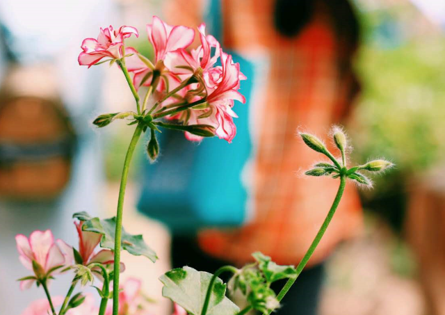 yaraaaaa的个人主页（背景预览） - 主页背景设置 - 站酷设计师yaraaaaa原创素材 - 站酷ZCOOL