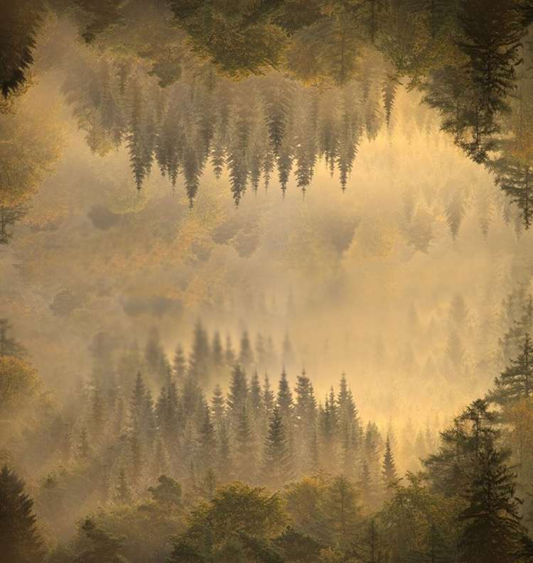 MandE227的個(gè)人主頁（背景預(yù)覽） - 主頁背景設(shè)置 - 站酷設(shè)計(jì)師MandE227原創(chuàng)素材 - 站酷ZCOOL