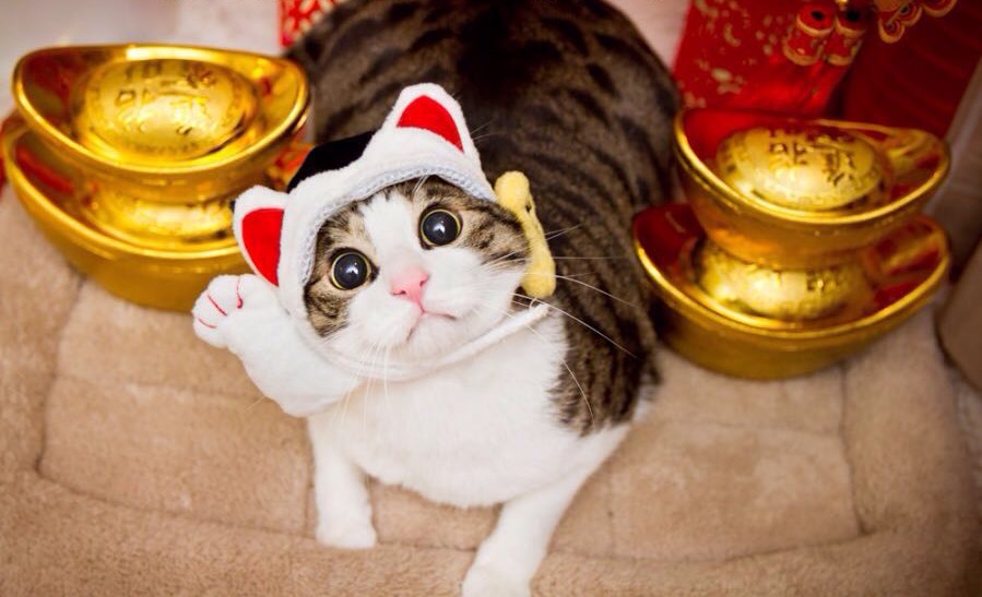 故事照舊的個人主頁（背景預覽） - 主頁背景設置 - 站酷設計師故事照舊原創(chuàng)素材 - 站酷ZCOOL