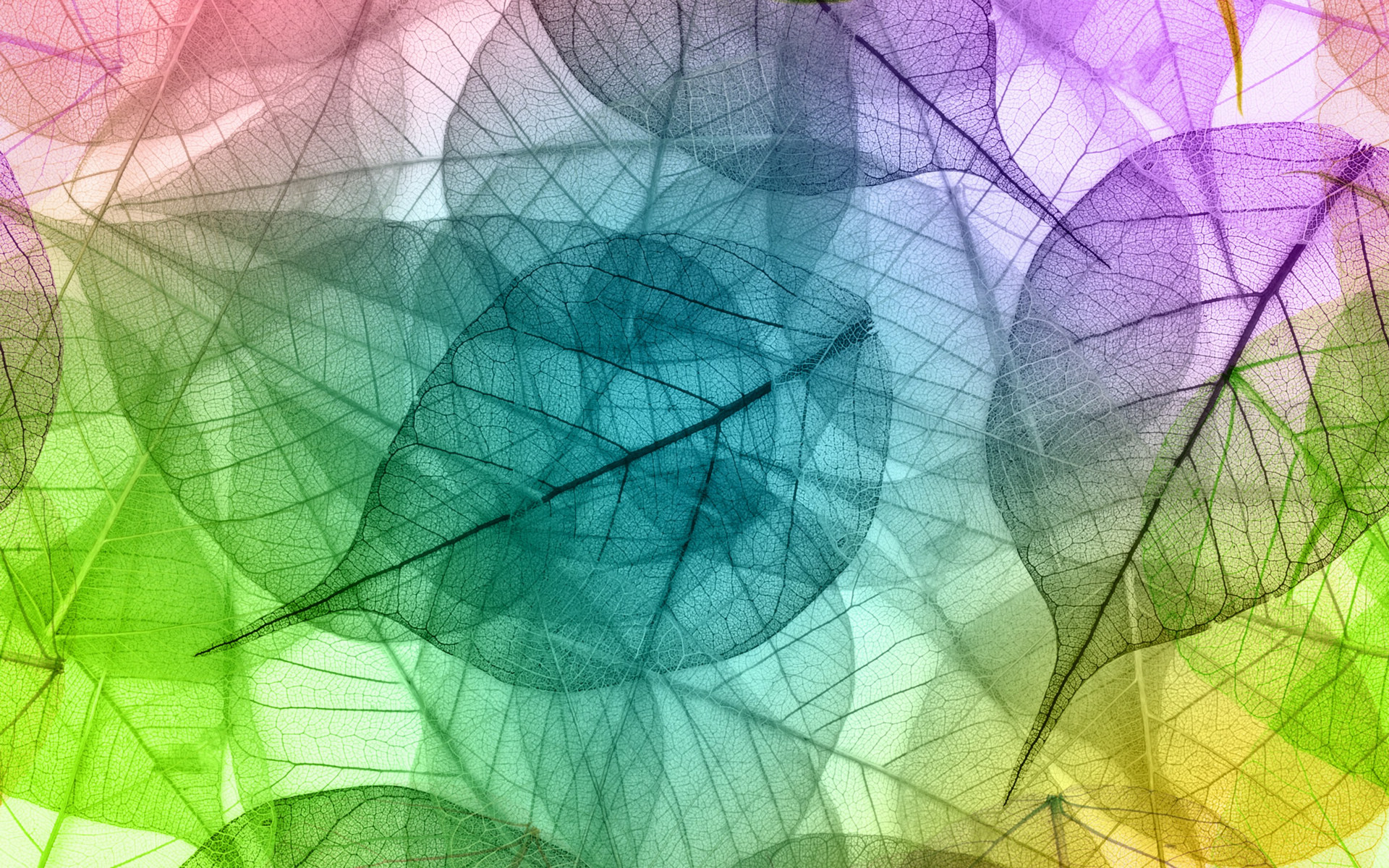 等到晴天再愛你的個(gè)人主頁（背景預(yù)覽） - 主頁背景設(shè)置 - 站酷設(shè)計(jì)師等到晴天再愛你原創(chuàng)素材 - 站酷ZCOOL