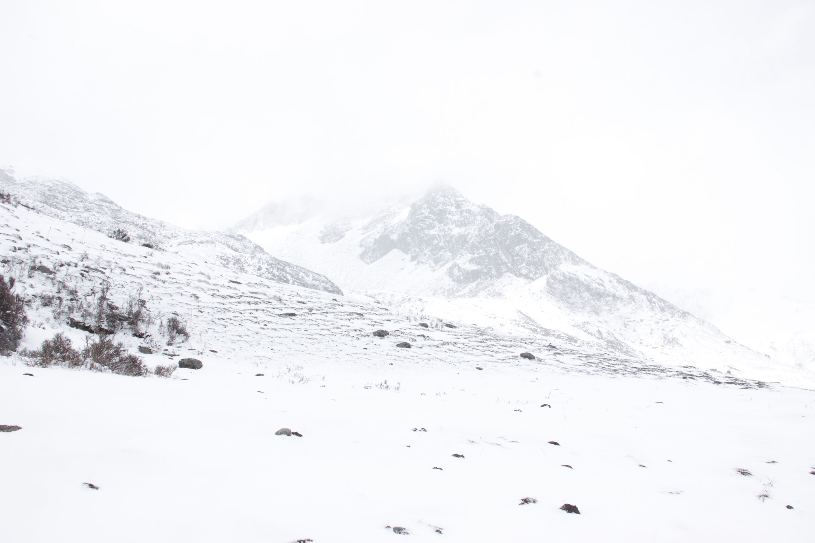 垣而的個(gè)人主頁（背景預(yù)覽） - 主頁背景設(shè)置 - 站酷設(shè)計(jì)師垣而原創(chuàng)素材 - 站酷ZCOOL