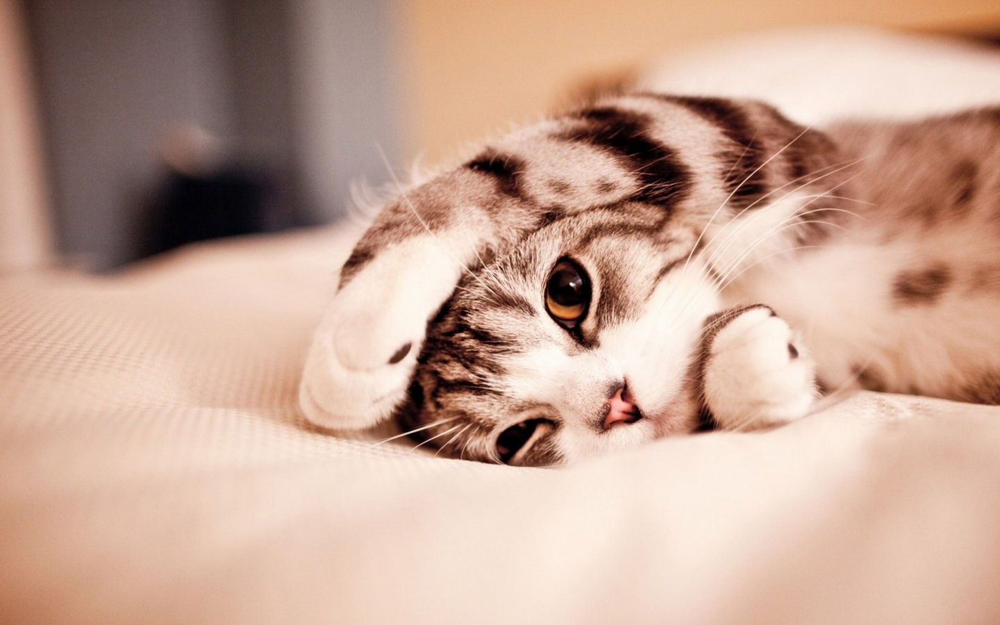 丿子竹的个人主页（背景预览） - 主页背景设置 - 站酷设计师丿子竹原创素材 - 站酷ZCOOL