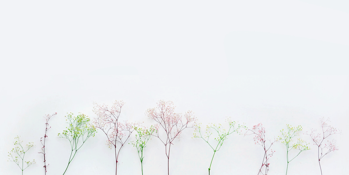 SaraZuo的個(gè)人主頁(yè)（背景預(yù)覽） - 主頁(yè)背景設(shè)置 - 站酷設(shè)計(jì)師SaraZuo原創(chuàng)素材 - 站酷ZCOOL