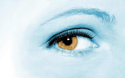 Pflaume的个人主页（背景预览） - 主页背景设置 - 站酷设计师Pflaume原创素材 - 站酷ZCOOL