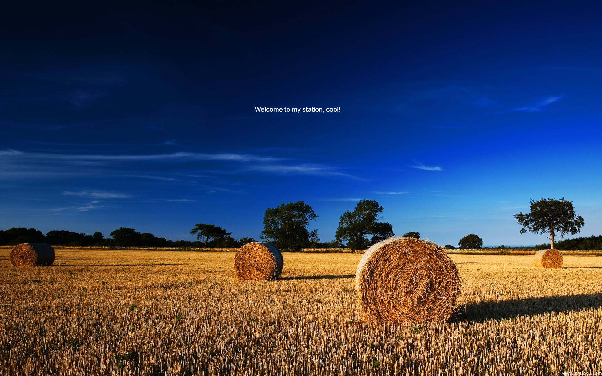 开心球的个人主页（背景预览） - 主页背景设置 - 站酷设计师开心球原创素材 - 站酷ZCOOL