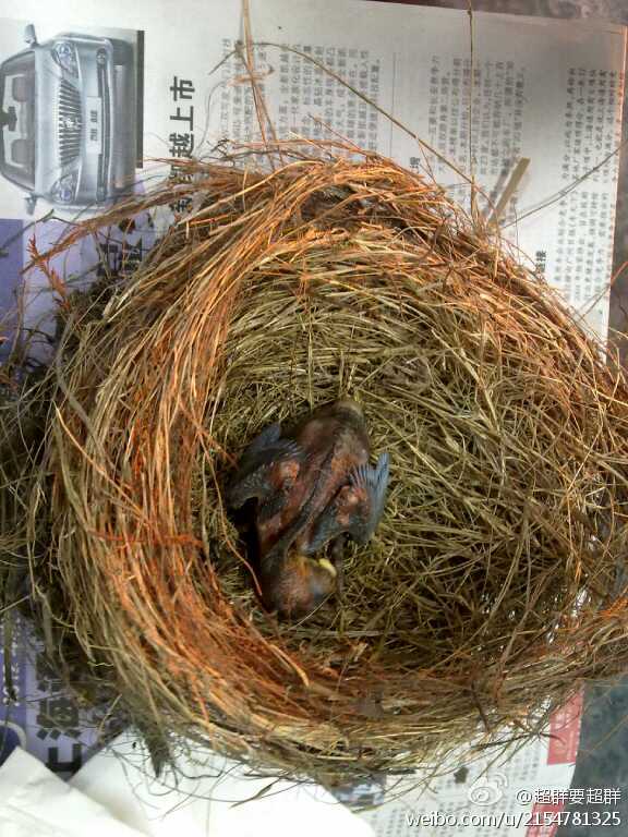 Paper_Lan的个人主页（背景预览） - 主页背景设置 - 站酷设计师Paper_Lan原创素材 - 站酷ZCOOL