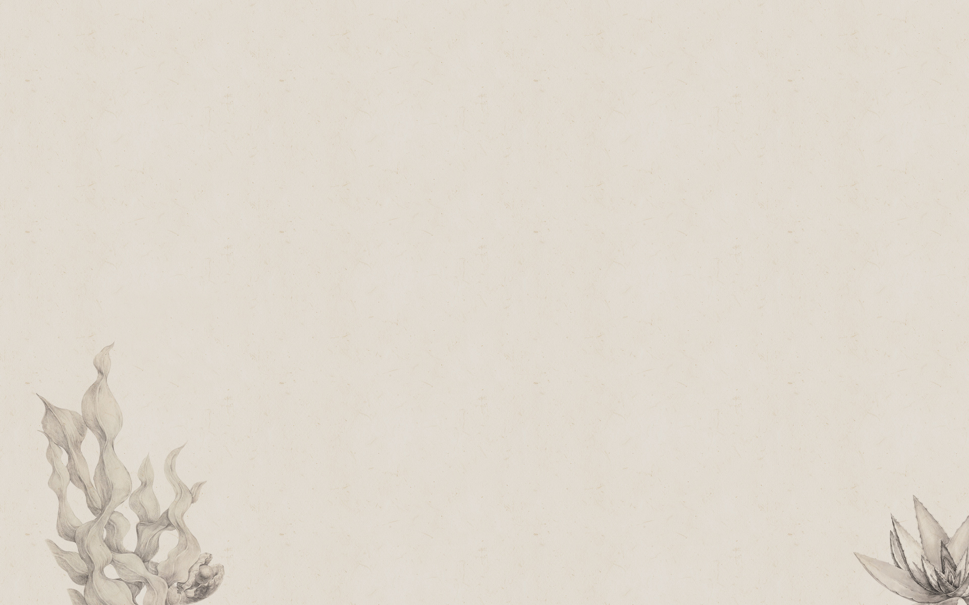 27Feng的个人主页（背景预览） - 主页背景设置 - 站酷设计师27Feng原创素材 - 站酷ZCOOL