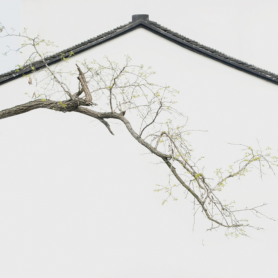 陈DAYER的个人主页（背景预览） - 主页背景设置 - 站酷设计师陈DAYER原创素材 - 站酷ZCOOL