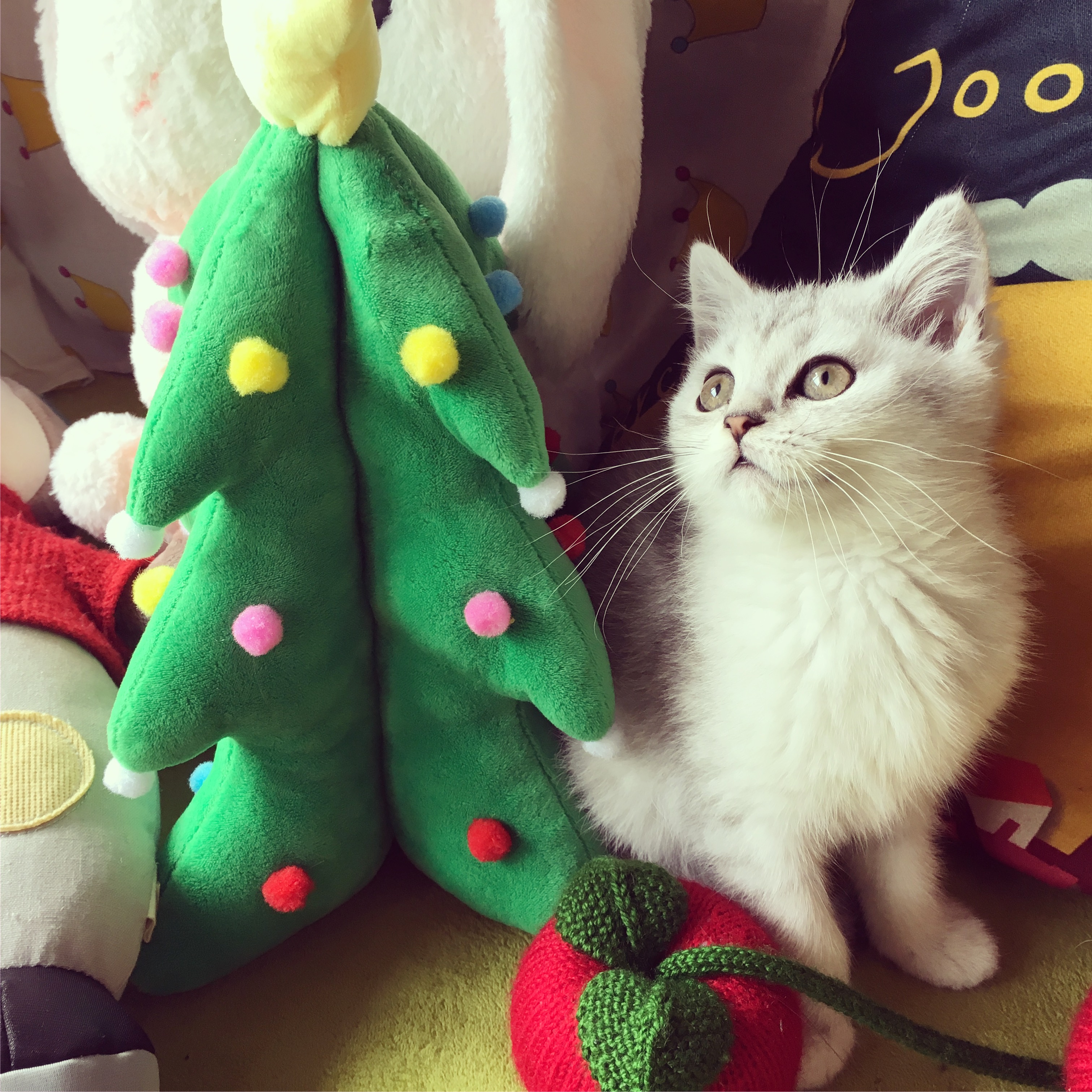 ChenXiaozzZ的个人主页（背景预览） - 主页背景设置 - 站酷设计师ChenXiaozzZ原创素材 - 站酷ZCOOL