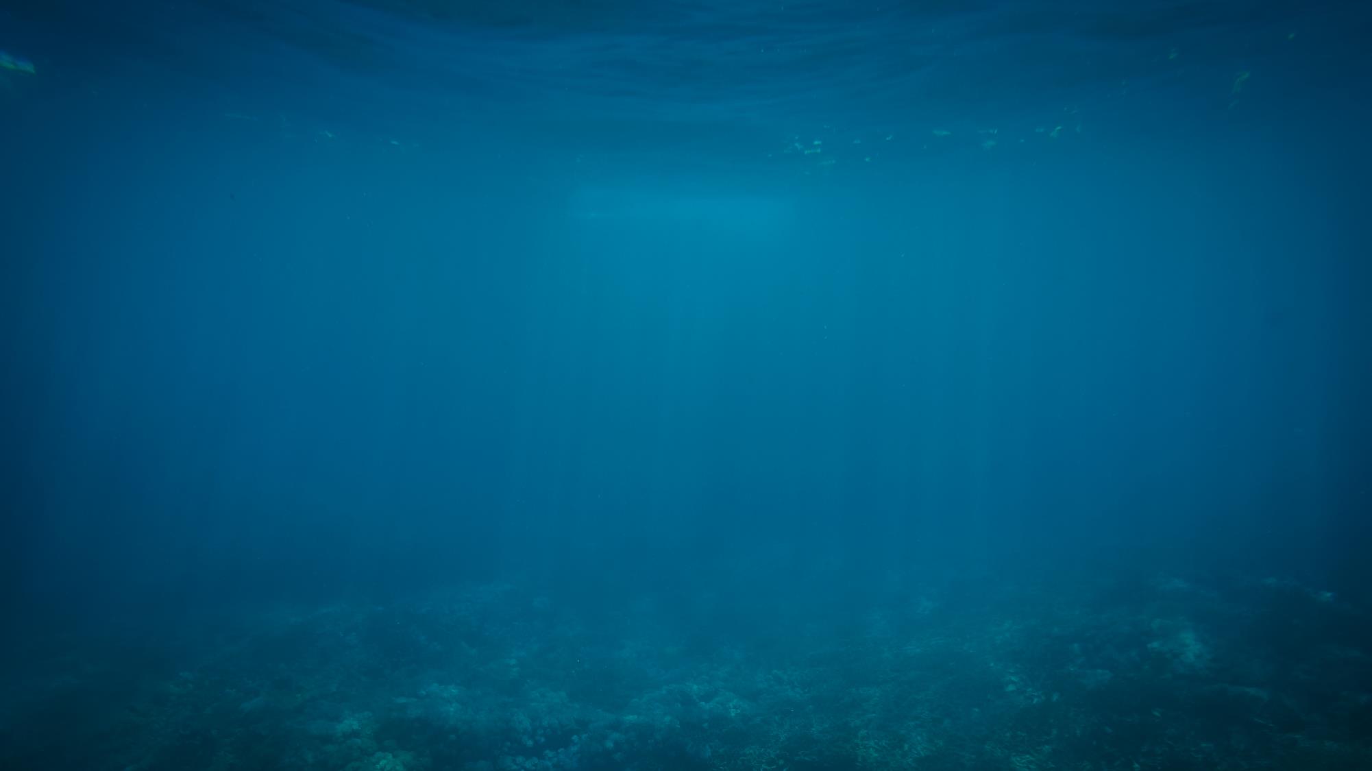 友情歲月1998的個人主頁（背景預(yù)覽） - 主頁背景設(shè)置 - 站酷設(shè)計師友情歲月1998原創(chuàng)素材 - 站酷ZCOOL