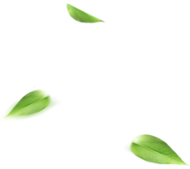 kentacmr的个人主页（背景预览） - 主页背景设置 - 站酷设计师kentacmr原创素材 - 站酷ZCOOL