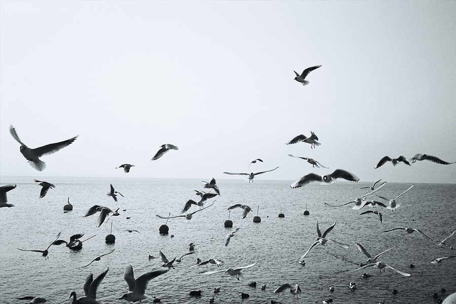 劉志東的個人主頁（背景預(yù)覽） - 主頁背景設(shè)置 - 站酷設(shè)計(jì)師劉志東原創(chuàng)素材 - 站酷ZCOOL