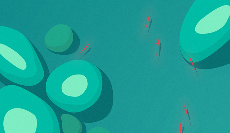 阮阮呐的个人主页（背景预览） - 主页背景设置 - 站酷设计师阮阮呐原创素材 - 站酷ZCOOL