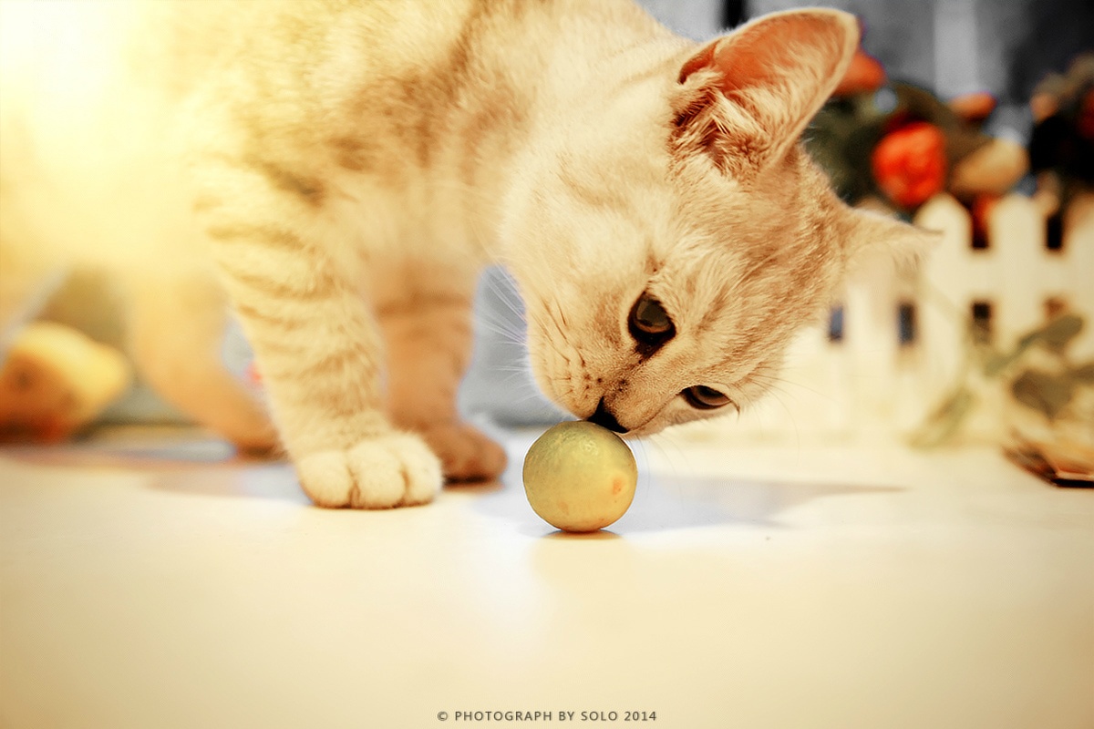 一众的个人主页（背景预览） - 主页背景设置 - 站酷设计师一众原创素材 - 站酷ZCOOL