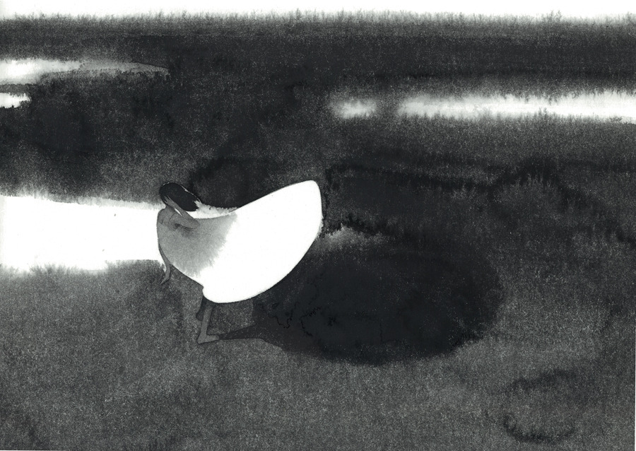 SAI__的个人主页（背景预览） - 主页背景设置 - 站酷设计师SAI__原创素材 - 站酷ZCOOL