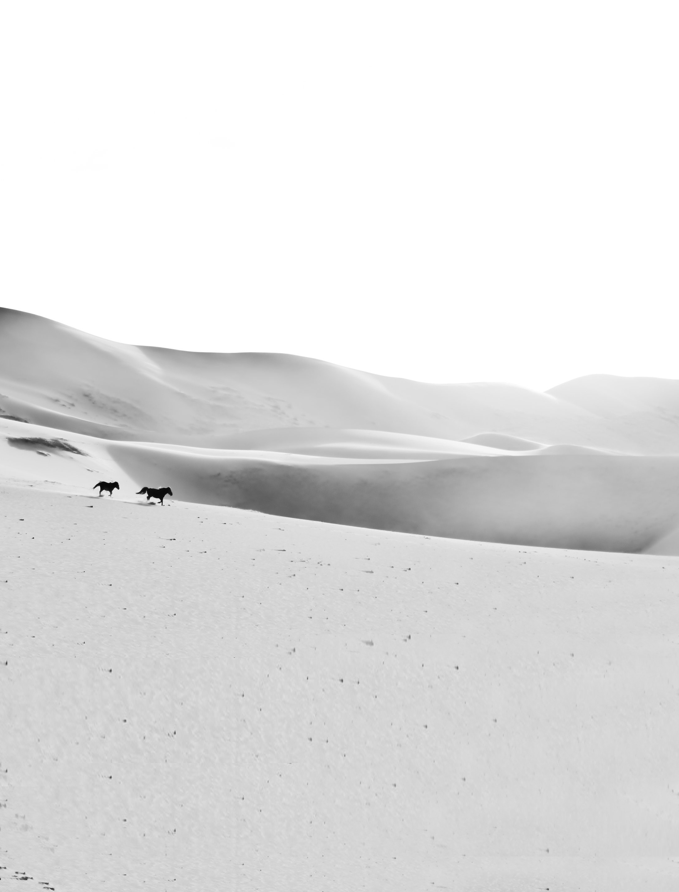 良?jí)m的個(gè)人主頁（背景預(yù)覽） - 主頁背景設(shè)置 - 站酷設(shè)計(jì)師良?jí)m原創(chuàng)素材 - 站酷ZCOOL