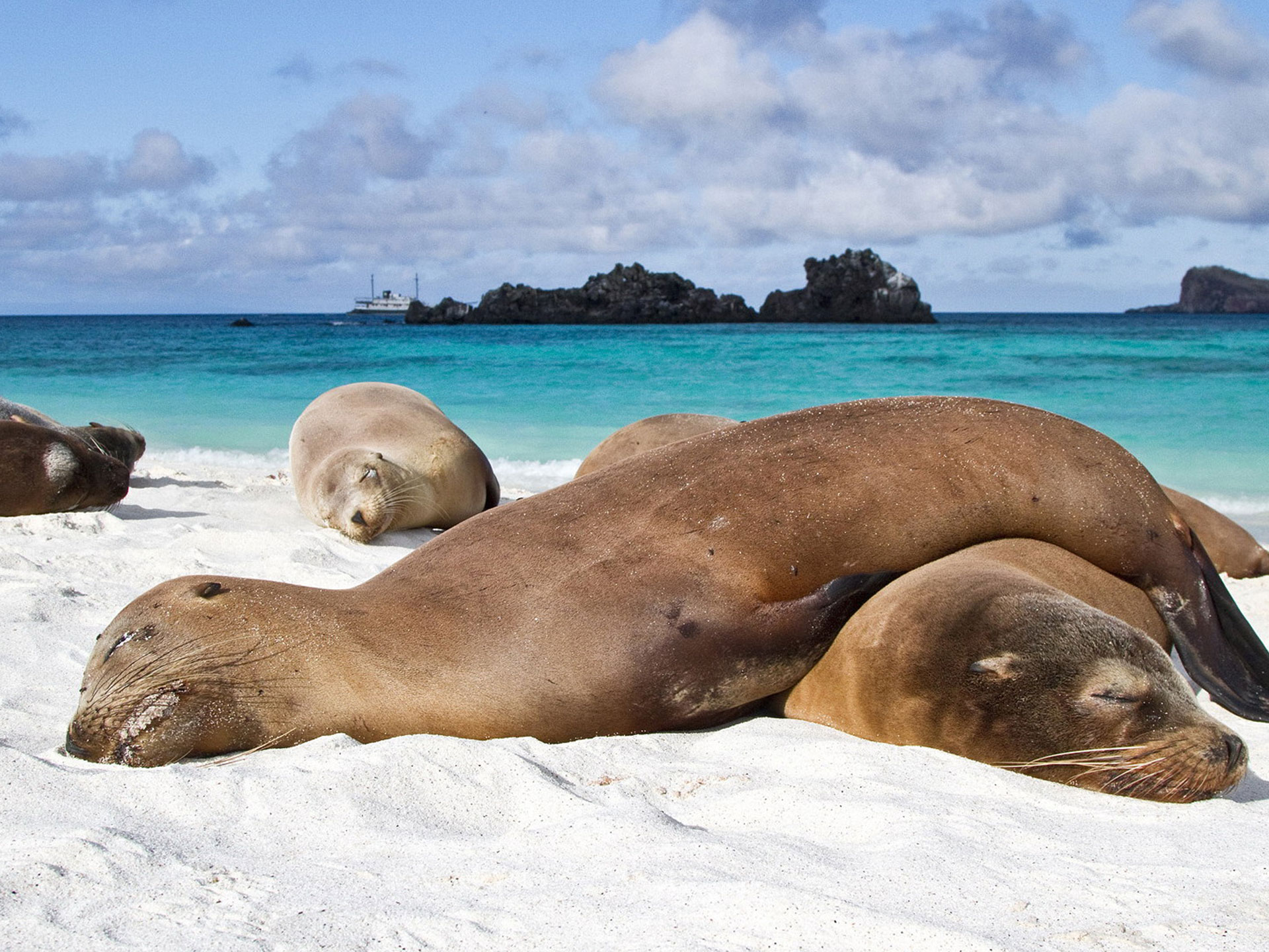 愛(ài)看怪獸的八月的個(gè)人主頁(yè)（背景預(yù)覽） - 主頁(yè)背景設(shè)置 - 站酷設(shè)計(jì)師愛(ài)看怪獸的八月原創(chuàng)素材 - 站酷ZCOOL