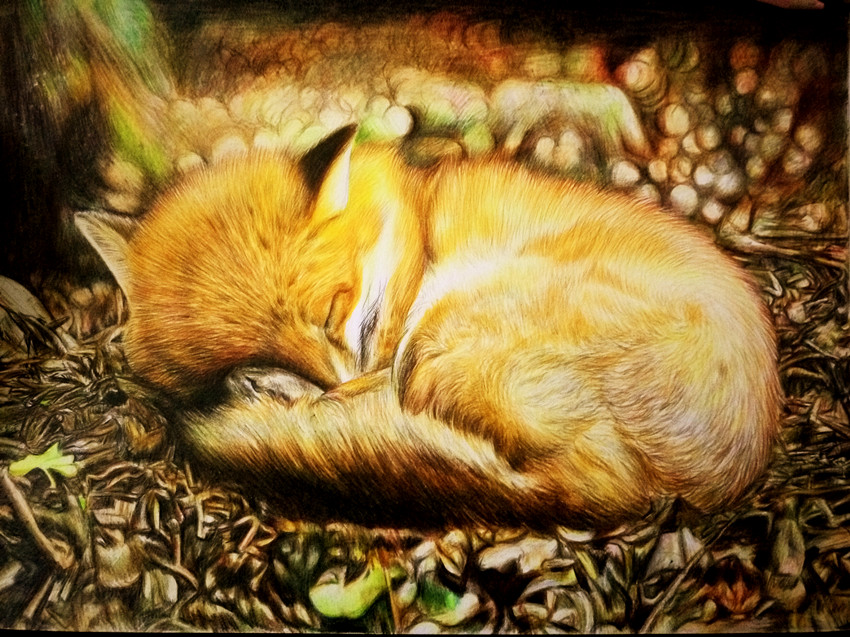 滴水和涟漪的个人主页（背景预览） - 主页背景设置 - 站酷设计师滴水和涟漪原创素材 - 站酷ZCOOL