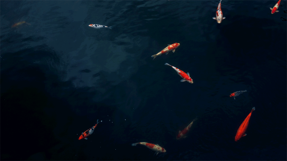 春饼的个人主页（背景预览） - 主页背景设置 - 站酷设计师春饼原创素材 - 站酷ZCOOL