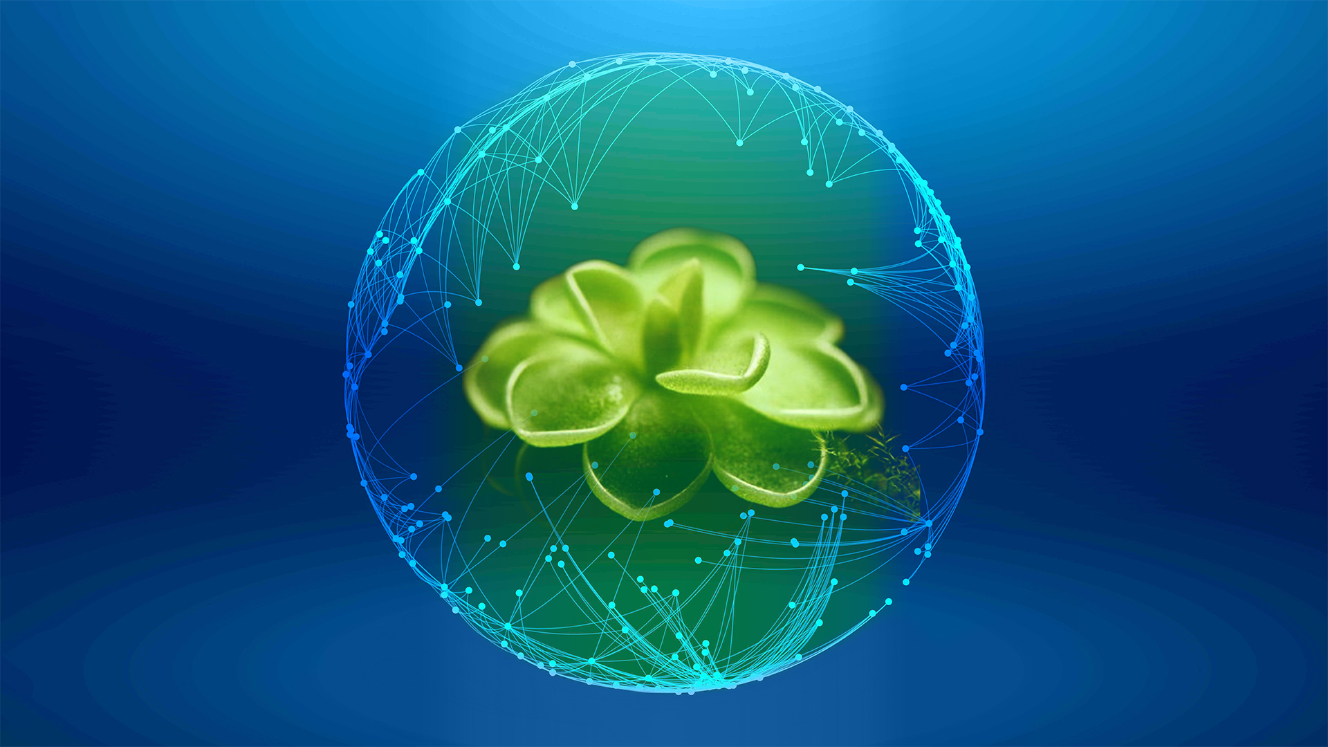 Linnea_Zh的個(gè)人主頁(yè)（背景預(yù)覽） - 主頁(yè)背景設(shè)置 - 站酷設(shè)計(jì)師Linnea_Zh原創(chuàng)素材 - 站酷ZCOOL