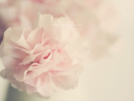 小小梁同学的个人主页（背景预览） - 主页背景设置 - 站酷设计师小小梁同学原创素材 - 站酷ZCOOL