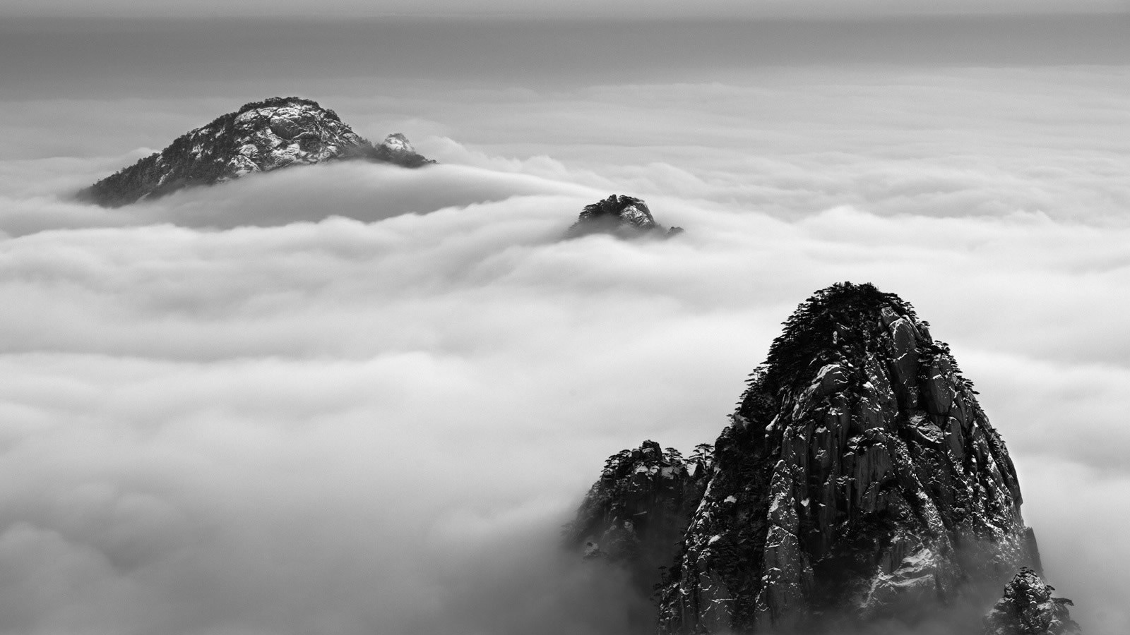 宗青森的个人主页（背景预览） - 主页背景设置 - 站酷设计师宗青森原创素材 - 站酷ZCOOL