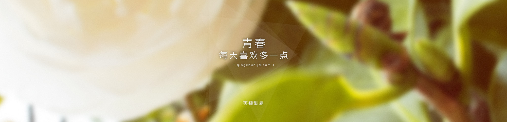 寒梅傲雪的个人主页（背景预览） - 主页背景设置 - 站酷设计师寒梅傲雪原创素材 - 站酷ZCOOL
