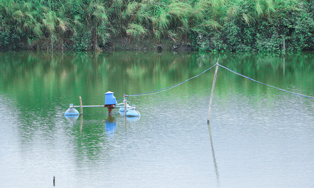 Lemmy_的个人主页（背景预览） - 主页背景设置 - 站酷设计师Lemmy_原创素材 - 站酷ZCOOL