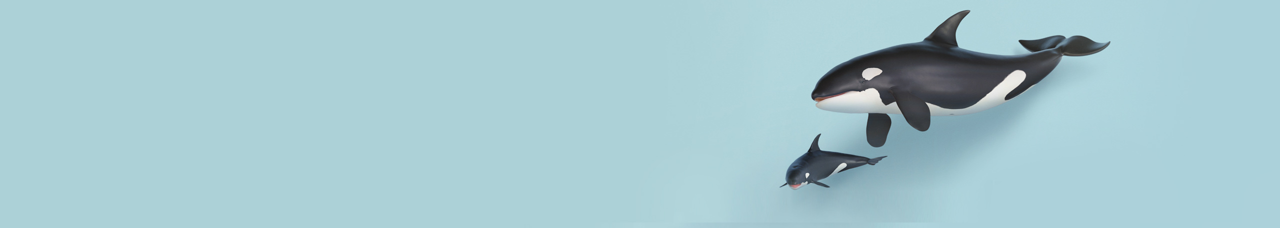 Chr1ssie的个人主页（背景预览） - 主页背景设置 - 站酷设计师Chr1ssie原创素材 - 站酷ZCOOL