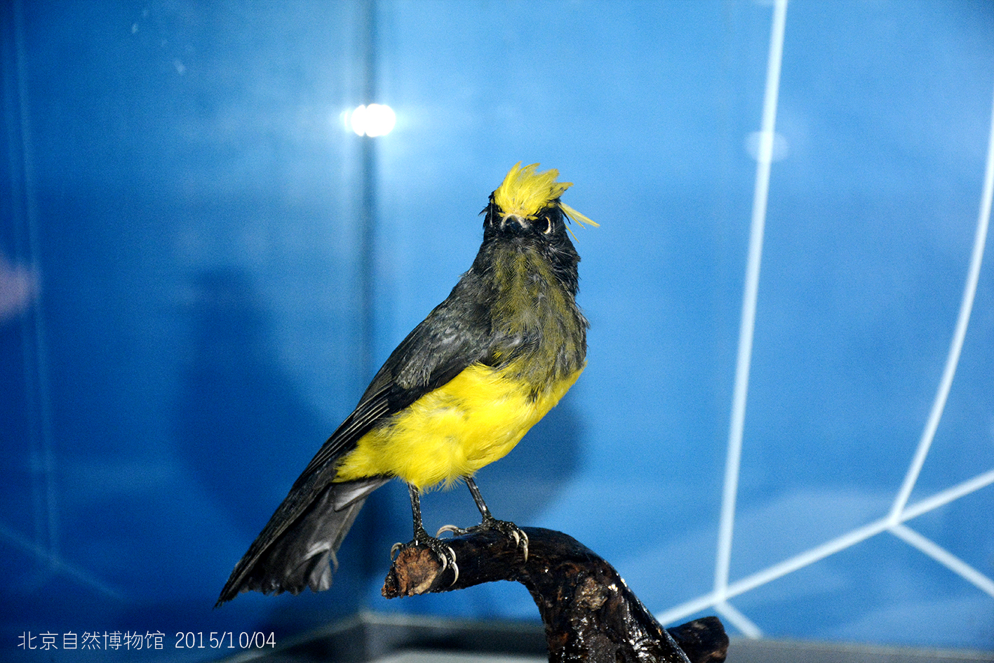 尹世界的个人主页（背景预览） - 主页背景设置 - 站酷设计师尹世界原创素材 - 站酷ZCOOL