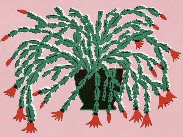 百子鈴的個人主頁（背景預(yù)覽） - 主頁背景設(shè)置 - 站酷設(shè)計師百子鈴原創(chuàng)素材 - 站酷ZCOOL