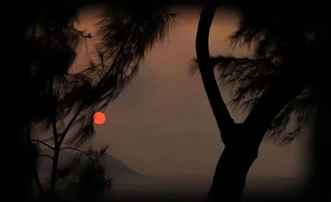 言覃木內(nèi)的個人主頁（背景預覽） - 主頁背景設置 - 站酷設計師言覃木內(nèi)原創(chuàng)素材 - 站酷ZCOOL