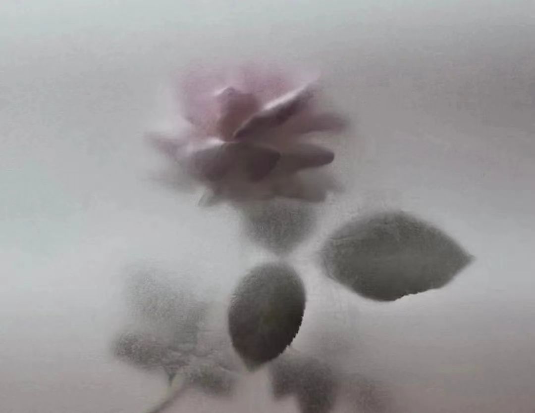 sadsadsadlly的个人主页（背景预览） - 主页背景设置 - 站酷设计师sadsadsadlly原创素材 - 站酷ZCOOL