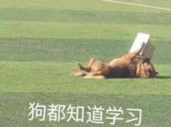 筱枫没灵感的个人主页（背景预览） - 主页背景设置 - 站酷设计师筱枫没灵感原创素材 - 站酷ZCOOL