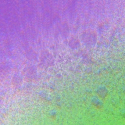 SophiaV的個(gè)人主頁(yè)（背景預(yù)覽） - 主頁(yè)背景設(shè)置 - 站酷設(shè)計(jì)師SophiaV原創(chuàng)素材 - 站酷ZCOOL