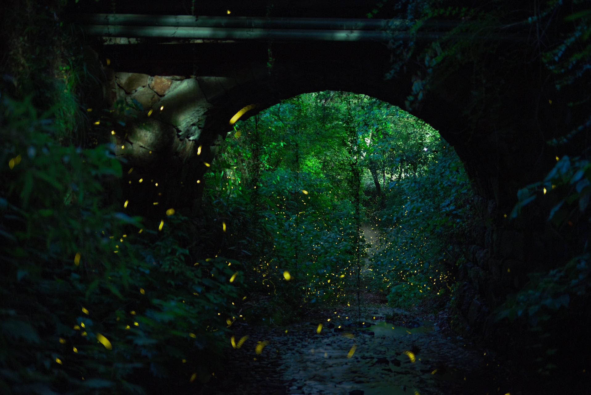 Hua木蘭小哥的個人主頁（背景預(yù)覽） - 主頁背景設(shè)置 - 站酷設(shè)計師Hua木蘭小哥原創(chuàng)素材 - 站酷ZCOOL