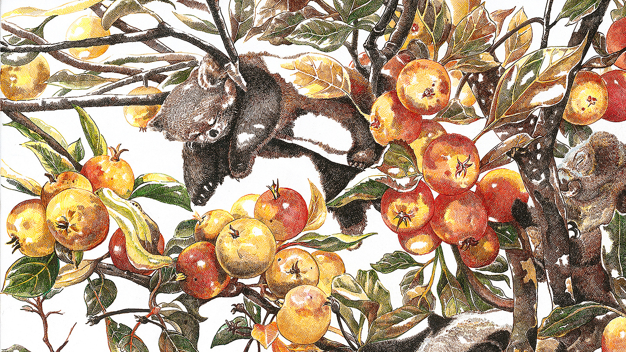 《醉秋实》之二（图ZMzY5MjI1NTky） - 艺术插画 - 站酷设计师赵娜Artist原创素材 - 站酷ZCOOL