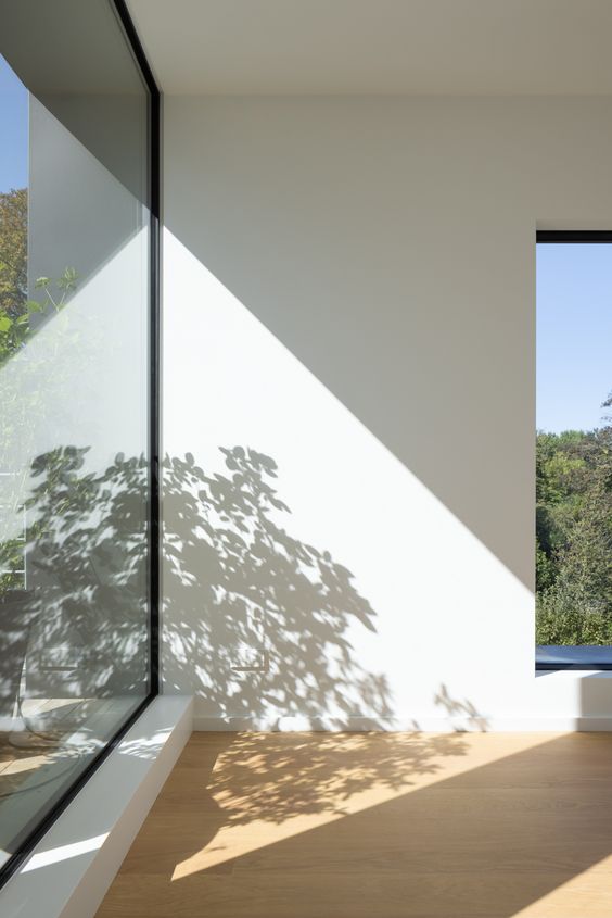 花菜_的个人主页（背景预览） - 主页背景设置 - 站酷设计师花菜_原创素材 - 站酷ZCOOL