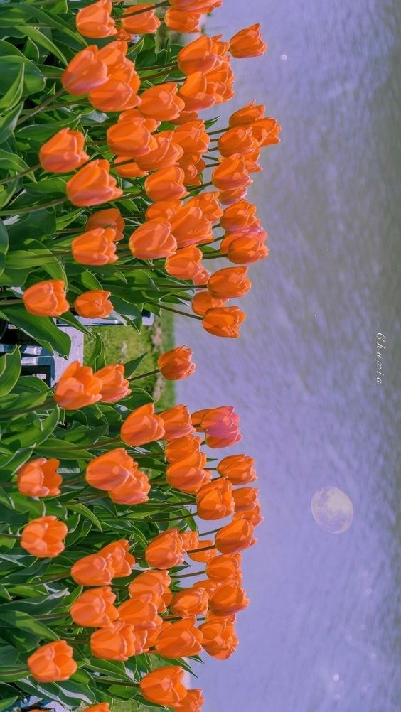 瑞纳冰336的个人主页（背景预览） - 主页背景设置 - 站酷设计师瑞纳冰336原创素材 - 站酷ZCOOL