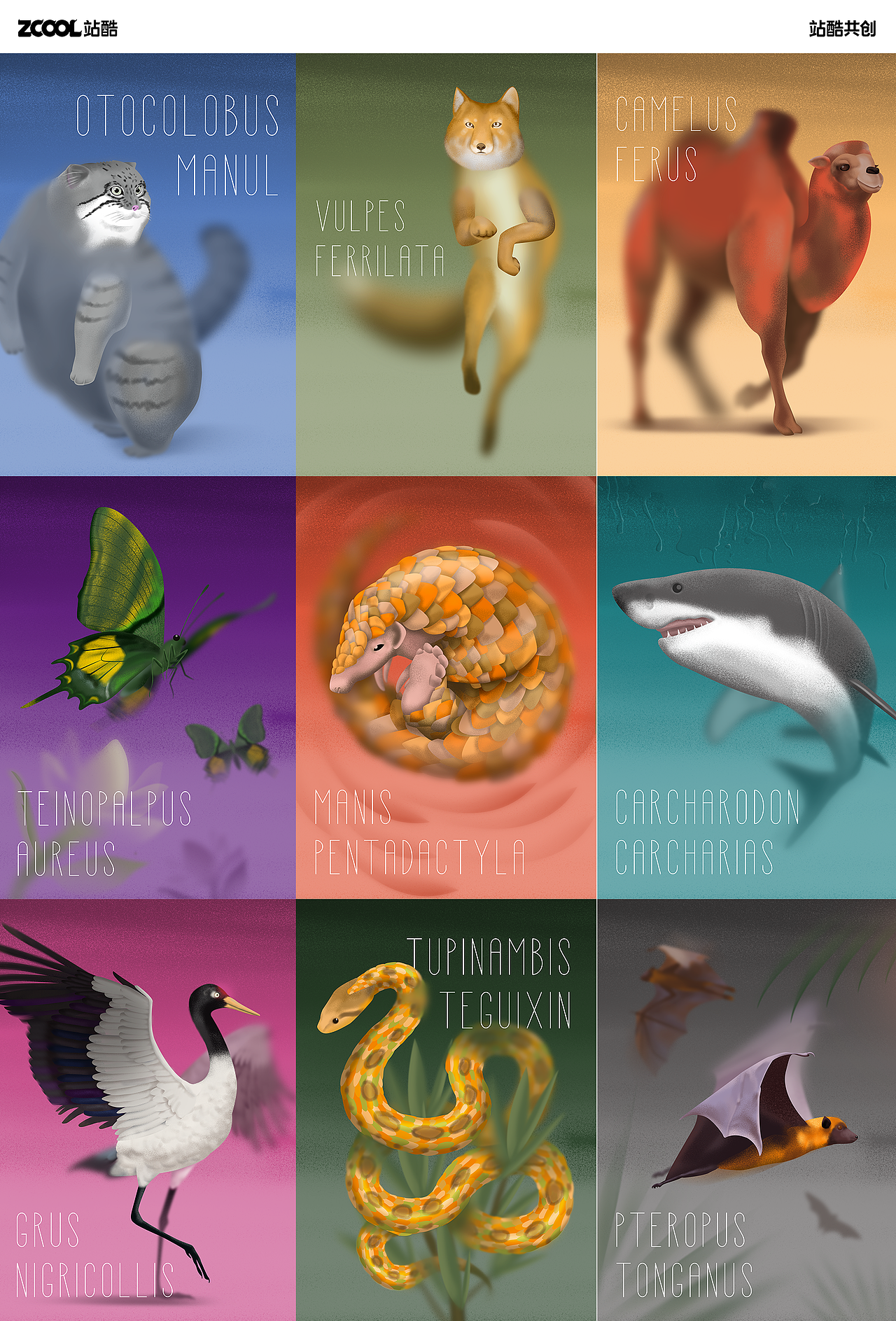 珍稀动物100《失·物》系列（图ZMzY0NzgyOTky） - 海报 - 站酷设计师MiterLee原创素材 - 站酷ZCOOL